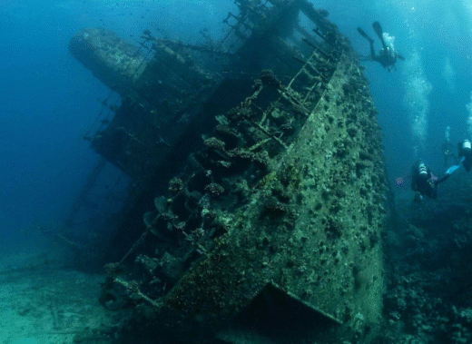 PADI-Wreck-Diver-1-800×379-1