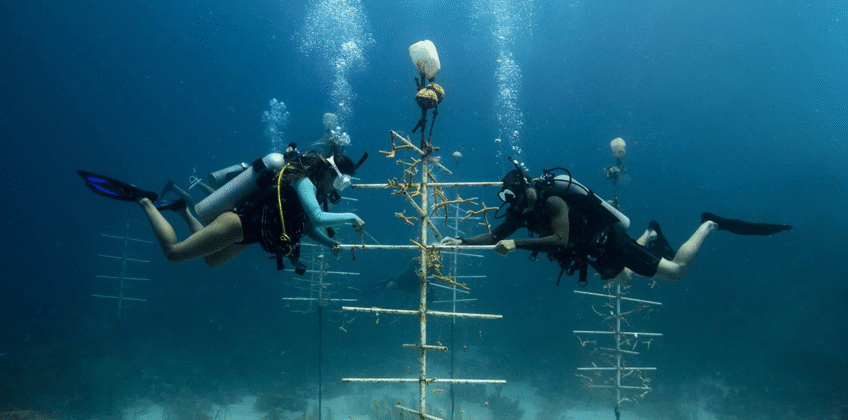 peak-performance-buoyancy-1