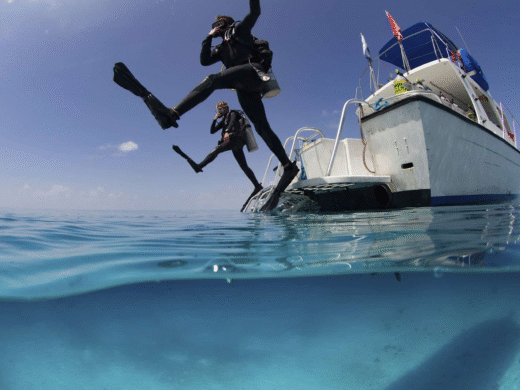 under-view-showing-divers-perfor