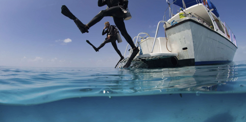 under-view-showing-divers-perfor