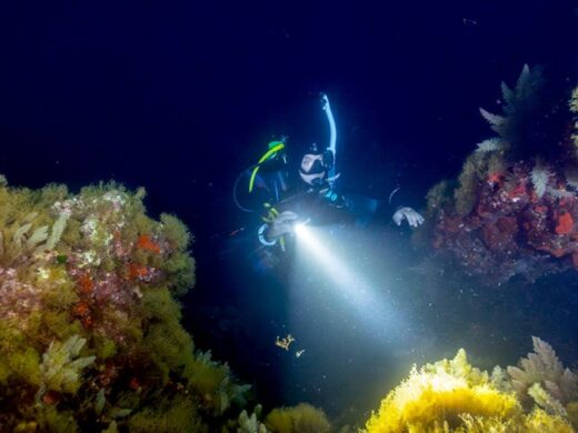 PADI Night Dive Specialty