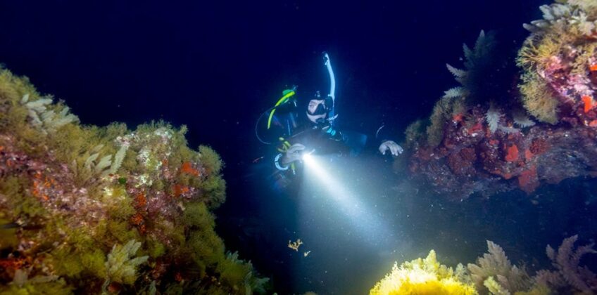 PADI Night Dive Specialty