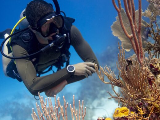 PADI Peak Performance Buoyancy Specialty