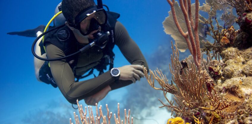PADI Peak Performance Buoyancy Specialty
