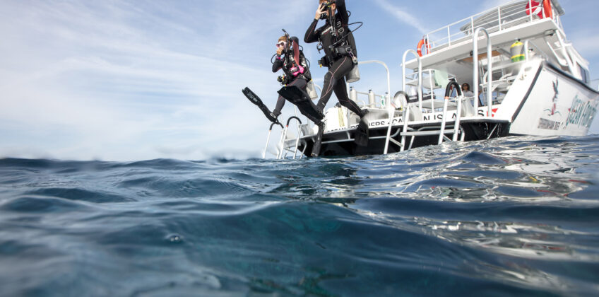 PADI Boat Diver Specialty