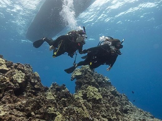 PADI Scuba Diver