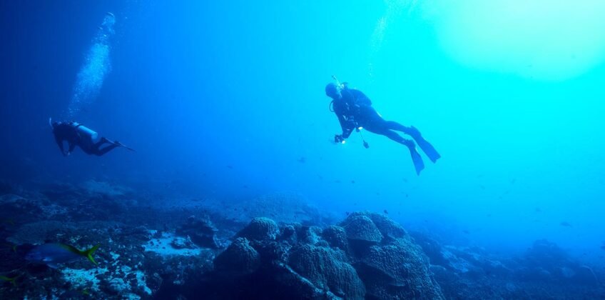 ocean